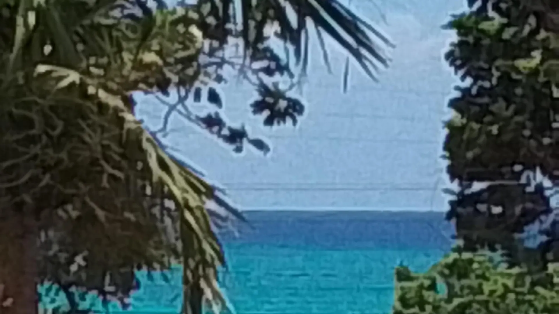 Chatham Palms Бухта Монтего